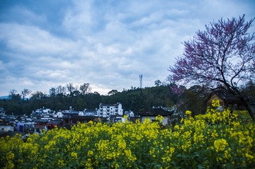 DSC_0287DSC_0287