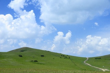 _DSC1465