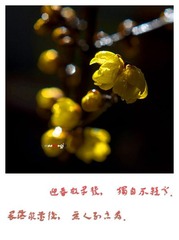 梅