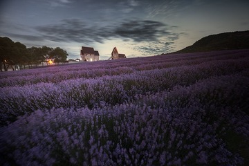 “_18A3685”为智能对象-1