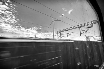 DSC_2403(22).jpg