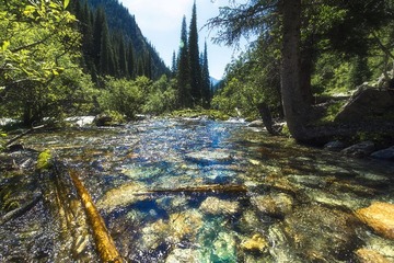 DSC_29242.jpg