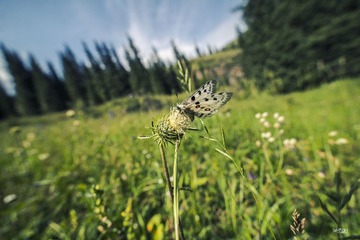 DSC_3013.jpg