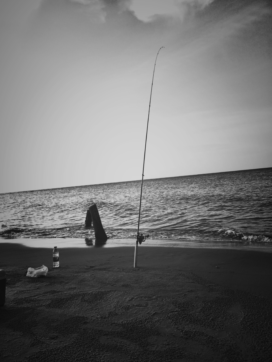 坐观垂钓者,徒有羡鱼情.