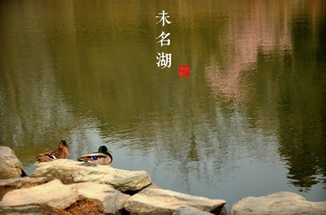 未名湖.jpg