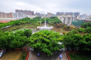 DSC_7265.jpg