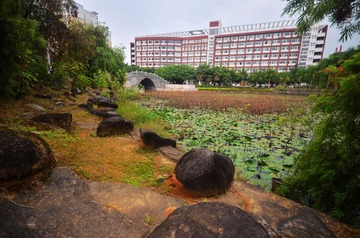 DSC_7195.jpg