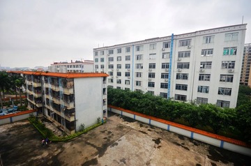 DSC_7324.jpg