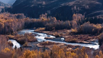 DSC_9158.jpg