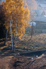 DSC_9253.jpg