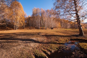 DSC_9038.jpg