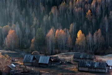 DSC_9083.jpg