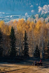DSC_8926.jpg