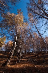 DSC_8977.jpg