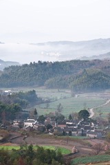 DSC_0710.jpg