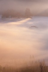 DSC_0591.jpg