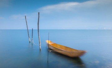 《栖息》