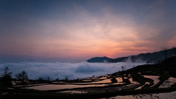 DSC_3749.jpg