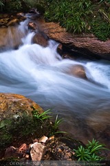 DSC_6679.jpg