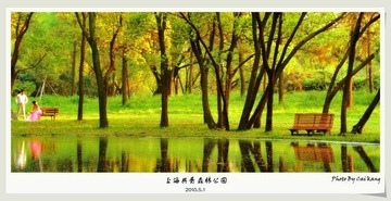 爱情的故事