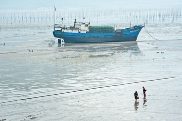 赶海