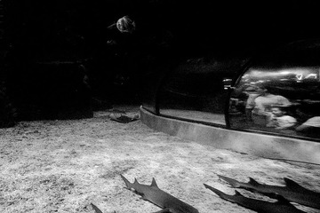 水族馆_