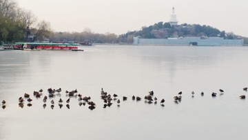 2011年上海车展随拍