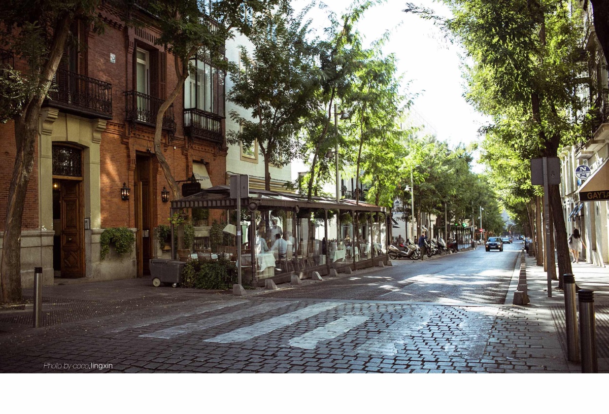 小鸟不依人阿科