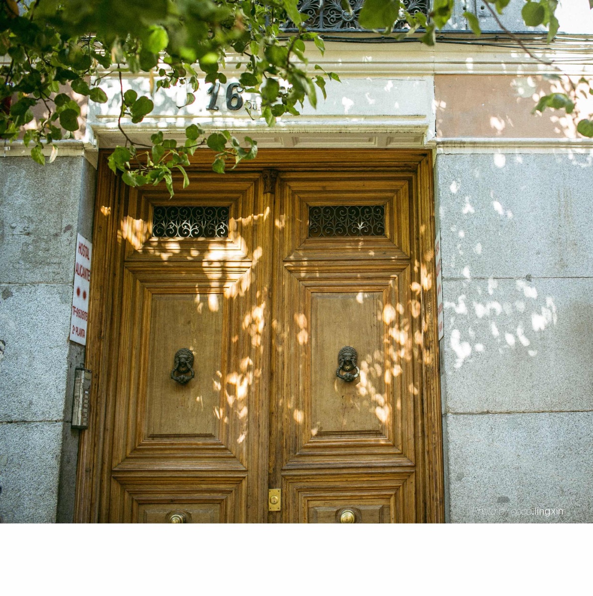 小鸟不依人阿科