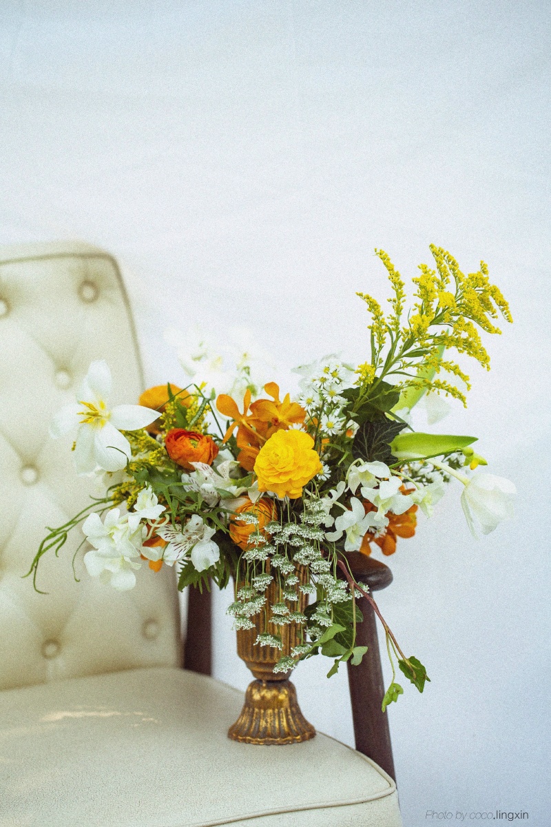 小鸟不依人阿科