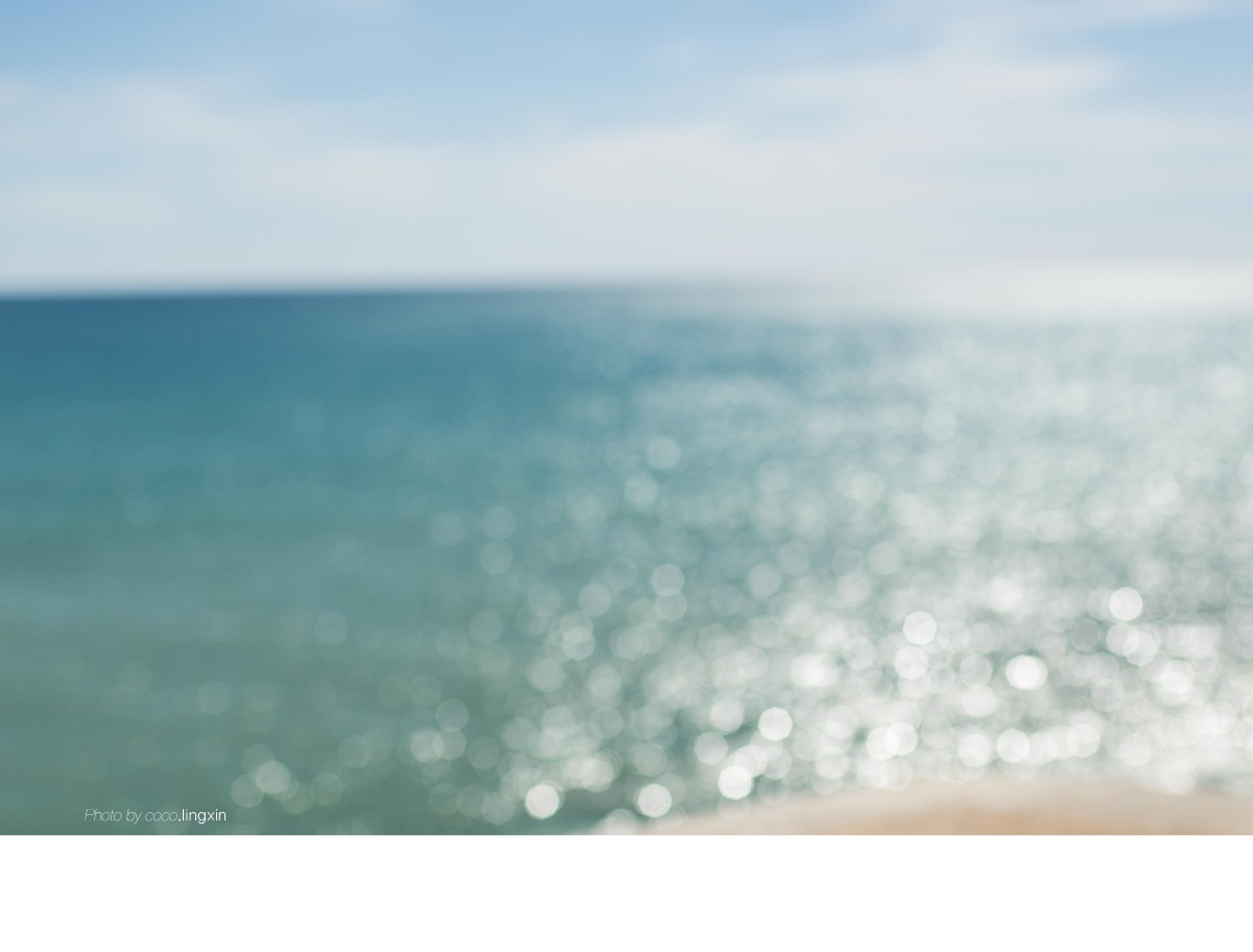 小鸟不依人阿科