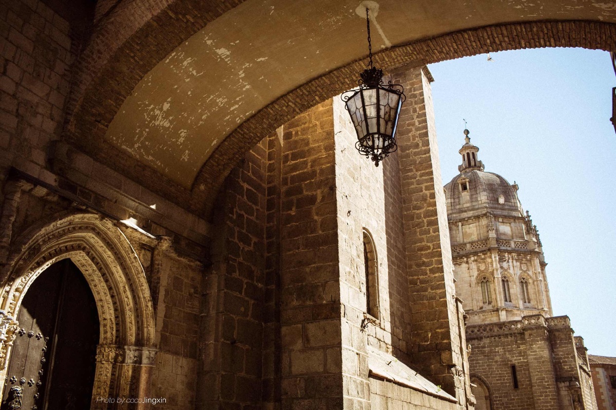 小鸟不依人阿科