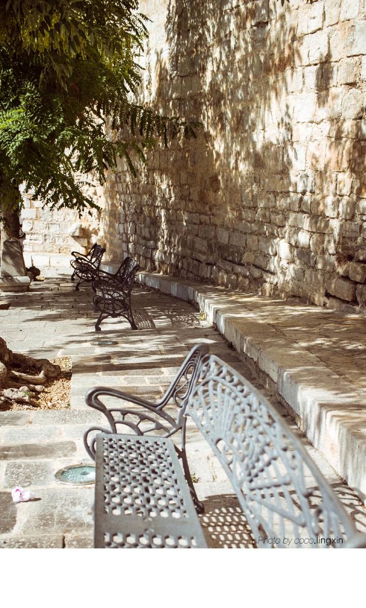 小鸟不依人阿科