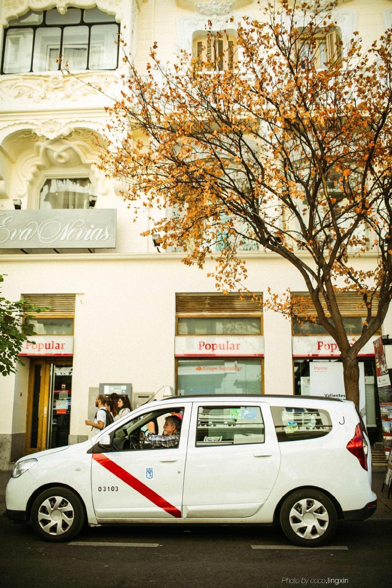 小鸟不依人阿科