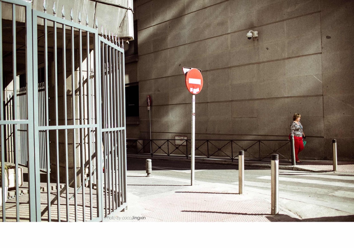 小鸟不依人阿科