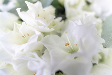 简