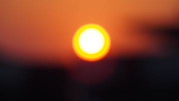 1621903