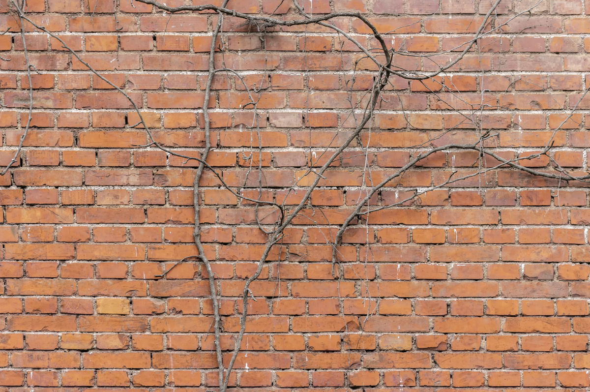 有年代感的清水红砖墙