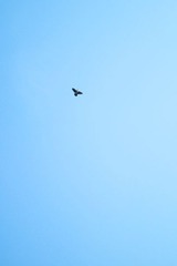 P5140506_1.jpg