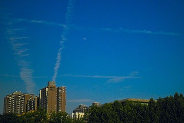 P5140594_1.jpg