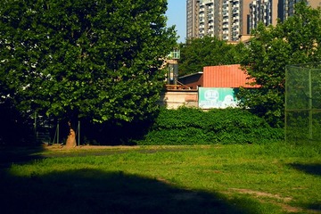 P5140604_1.jpg