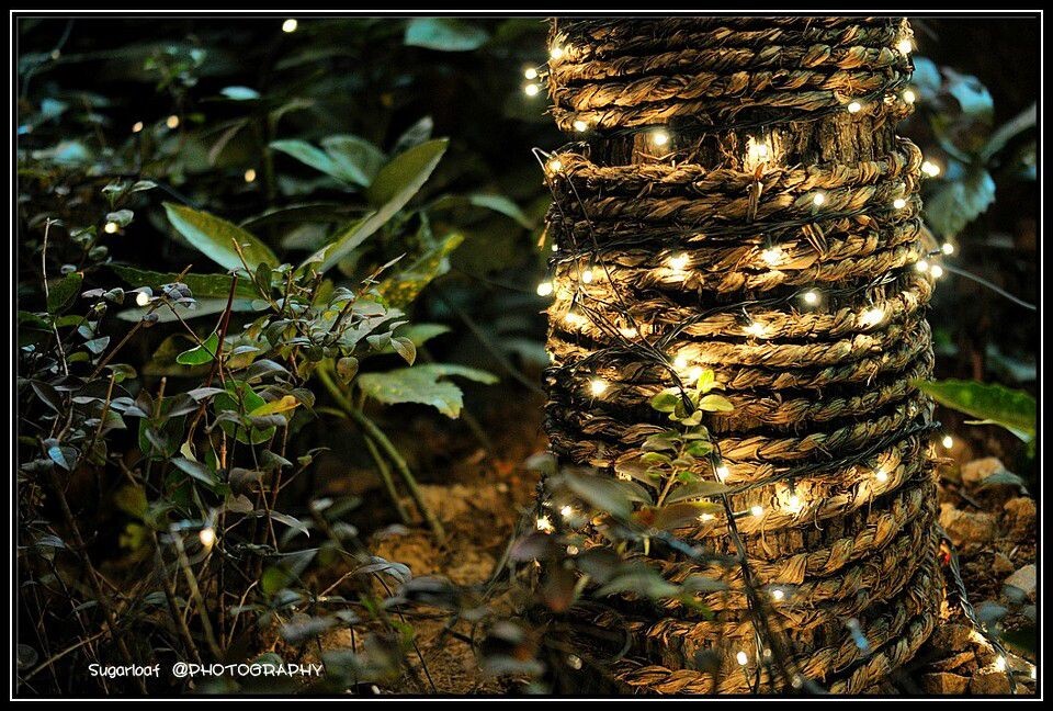 DSC_7109<br />
