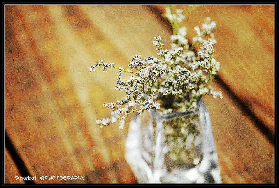 DSC_6972<br />
