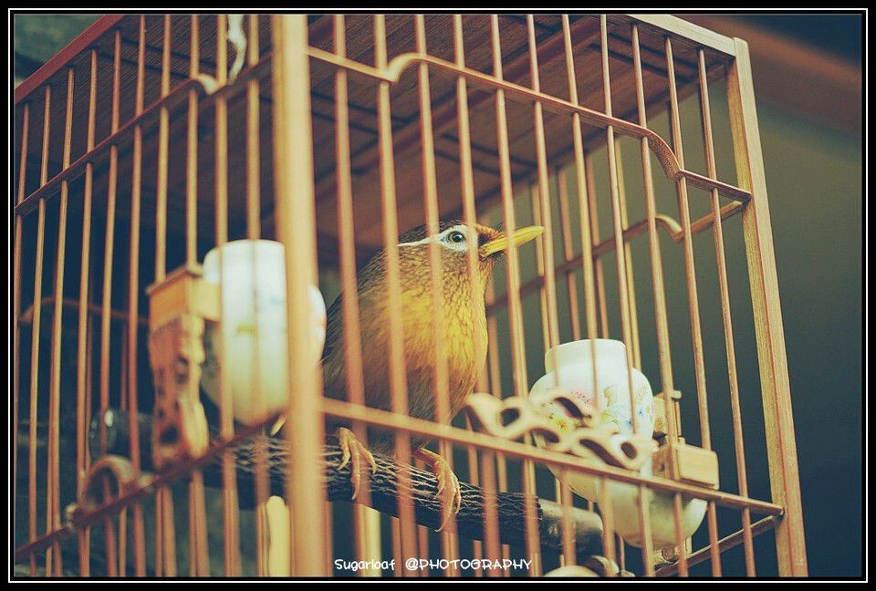 DSC_6983<br />
