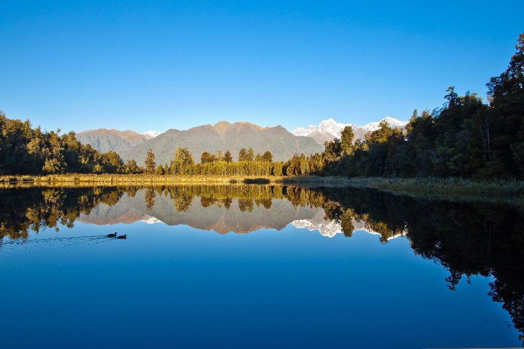 LAKE MATHESON<br />
I captured  the bird .