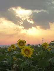 DSC02876.jpg