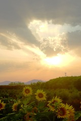 DSC02878.jpg