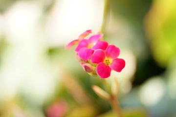 DSC04299_