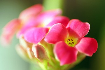 DSC04303_