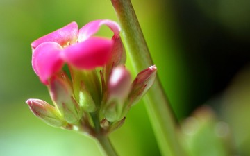 DSC04305_